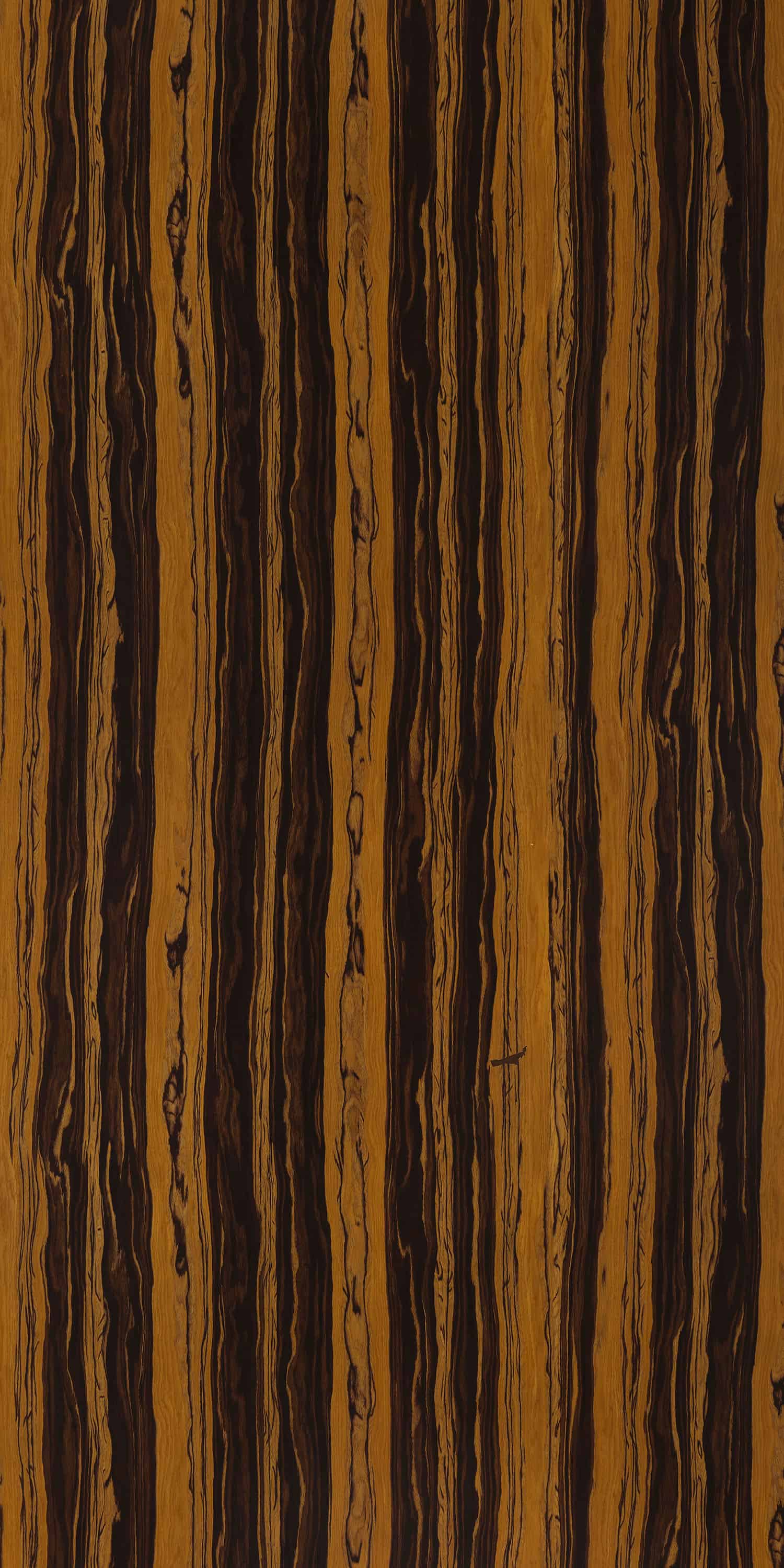 TIGER WOOD