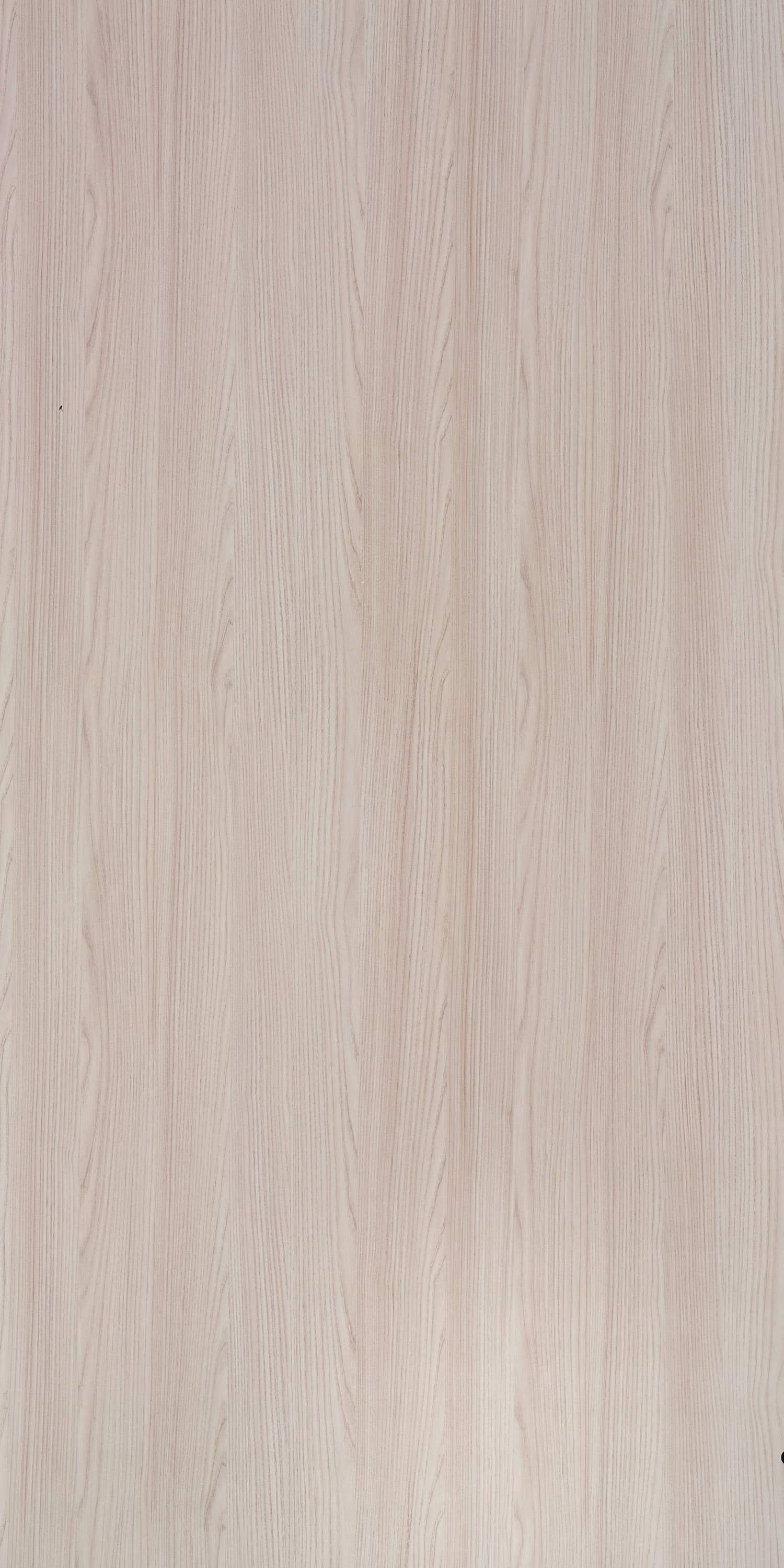 NINGBO ELM