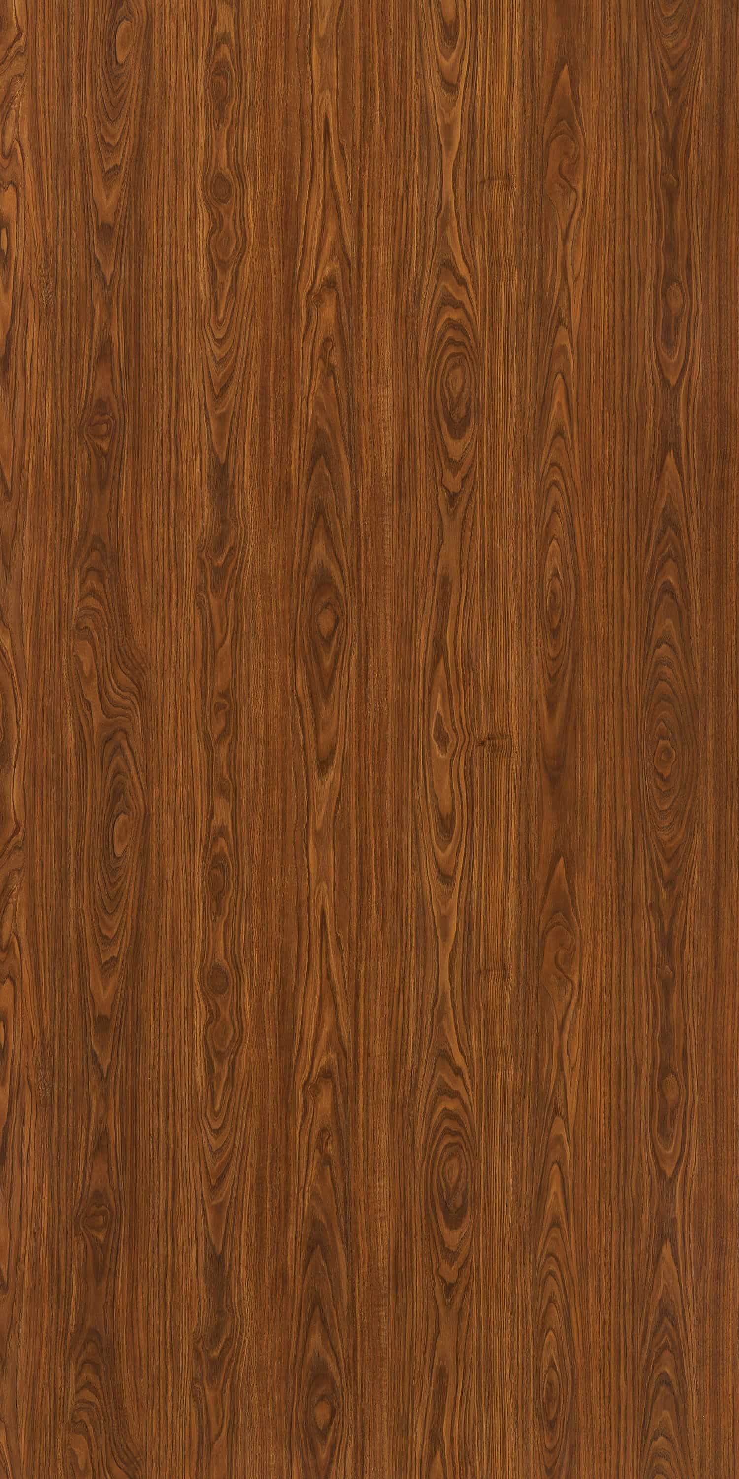 BLOOM CHESTNUT