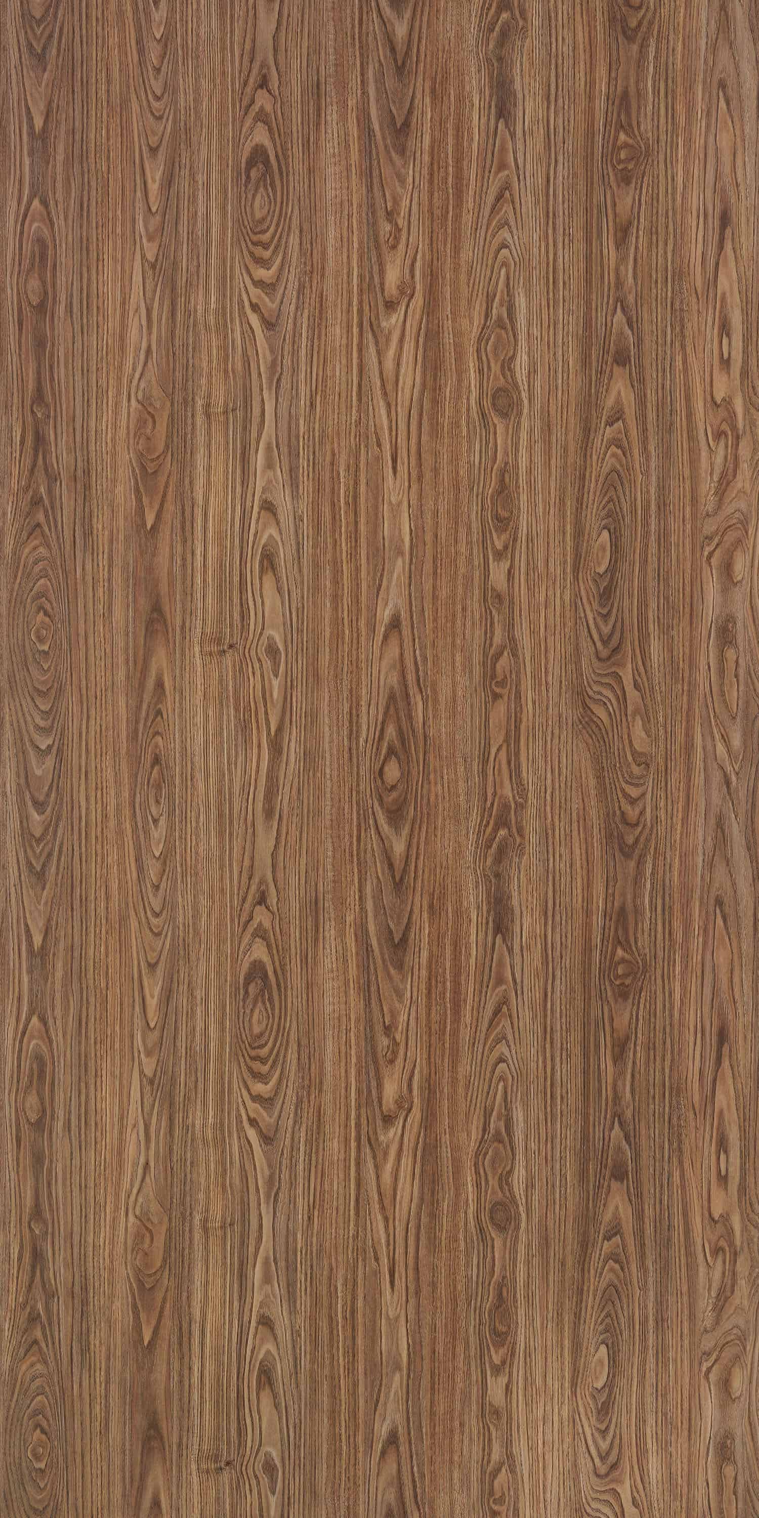 HAYATA CHESTNUT