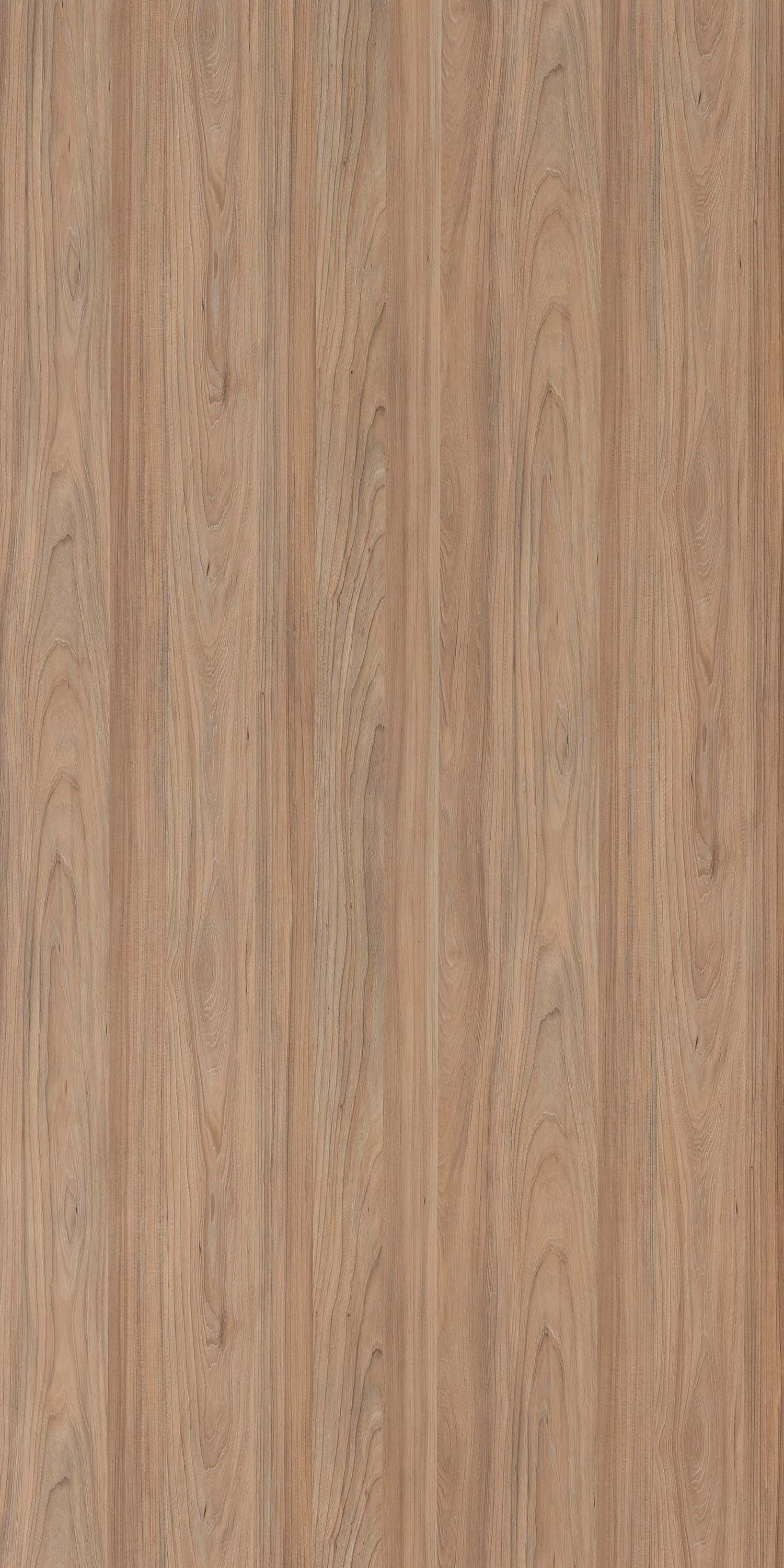 SWISS ELM