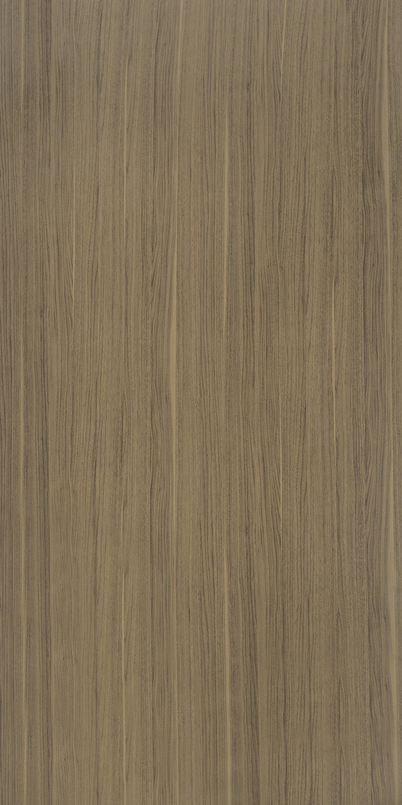 Walnut Warmth