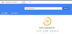 PageSpeed Insights