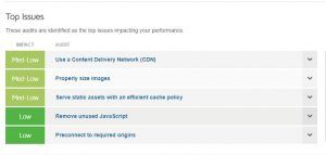 Top Issues Loading Website
