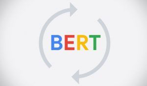 Bert