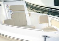23′ Pursuit C238
