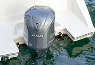 23′ Pursuit C238