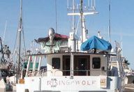 61′ 1991 Custom Offshore Trawler