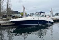 36′ 2006 Sea Ray
