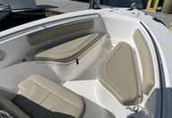 24′ 2019 Pursuit