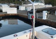 31′ 2011 Pursuit