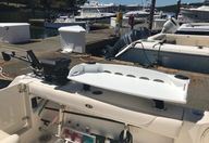 31′ 2011 Pursuit