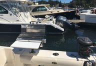 31′ 2011 Pursuit