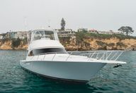 48′ 2017 Viking