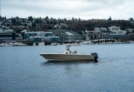 26′ 2018 Pursuit