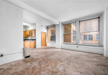 215 W 7th Street Unit: 509