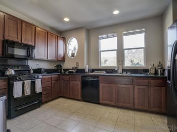 1386 Dandelion Way