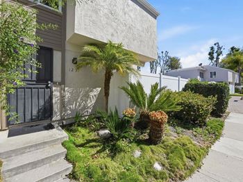 1237 Evergreen