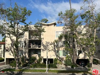 237 Almont