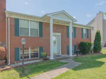 5941 Plumwood