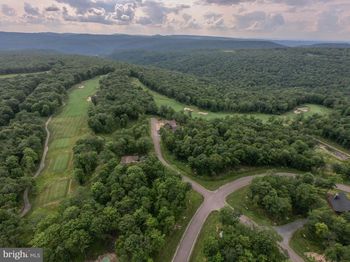 7 Fern Loop