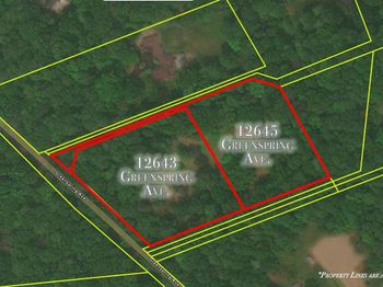 12643 Greenspring