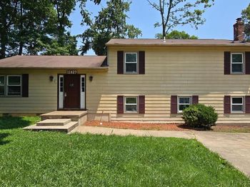 11827 Rutherford