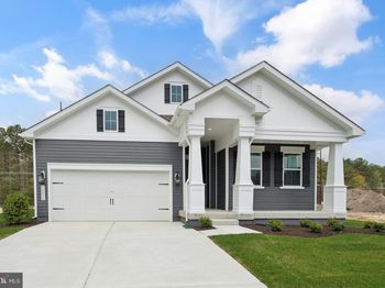23422 Buttonbush