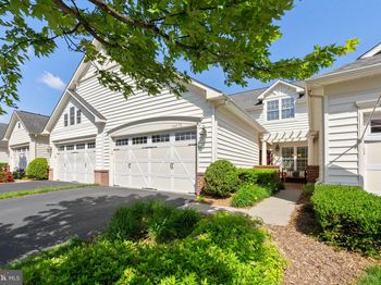 44372 Sunset Maple