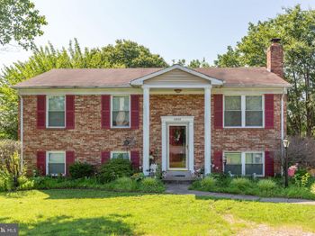 5955 Plumwood