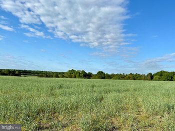 Lot 9 Zachary Taylor Hwy