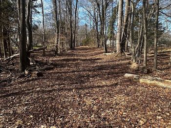 7945 Bensville