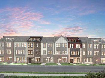1205 Bear Oak