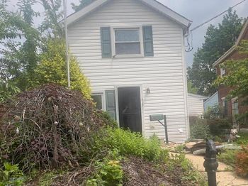 419 Walnut