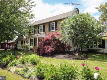 1132 Upper Stump