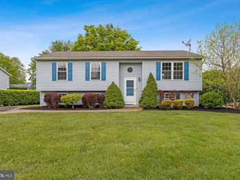 490 Mountain Laurel
