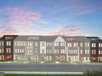 1201 Bear Oak