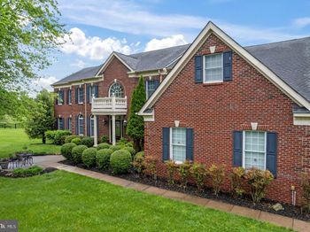 41113 Canongate