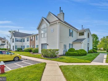 1608 Steeplebush