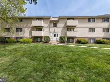 12407 Hickory Tree