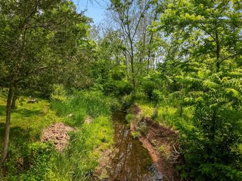 581 Monocacy Hill