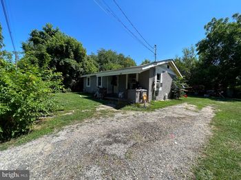 239 Green