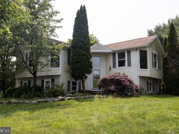 1158 Custer