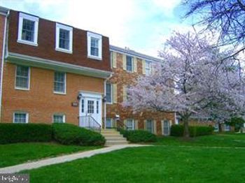 784 Quince Orchard
