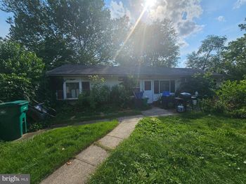 30 Orangewood
