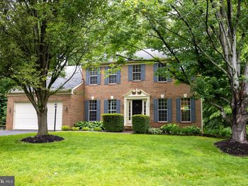 13076 Dove Tree