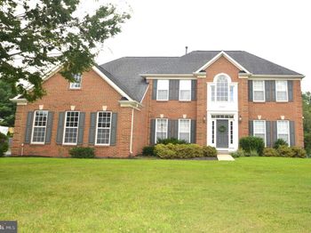 25461 Lemon Tree
