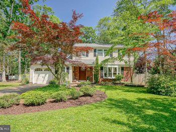 20 Delwood