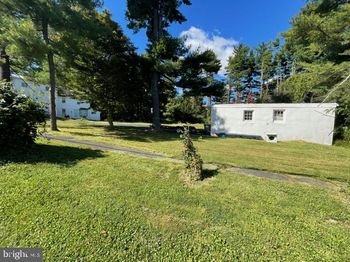 3636 Pine