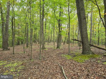  Sideling Mountain Trail - Lots 64 & 65